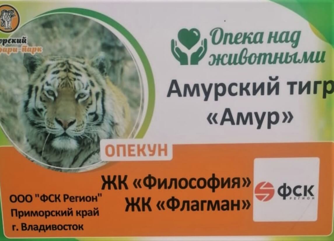 ФСК Регион стала опекуном тигра Амура во Владивостоке